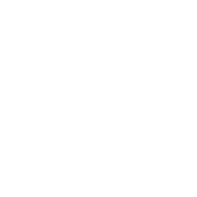 LinkedIn icon